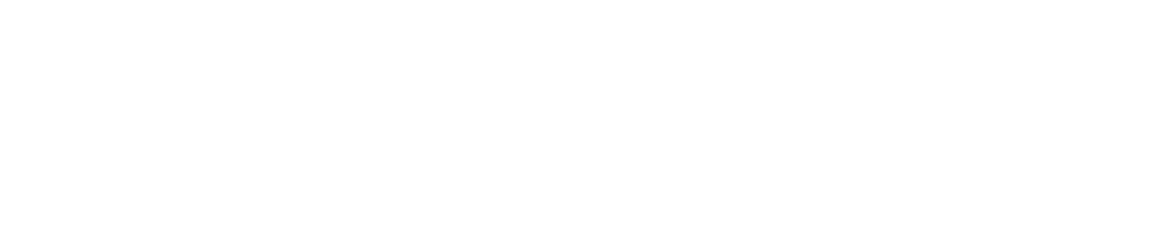 Mensch und Maschine Software SE